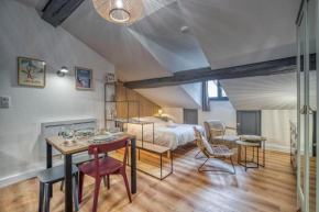 Le Strasbourg - Centre ville - Climatisation Grenoble